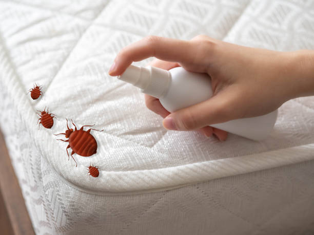 Emergency Pest Control in Oak Hill, WV